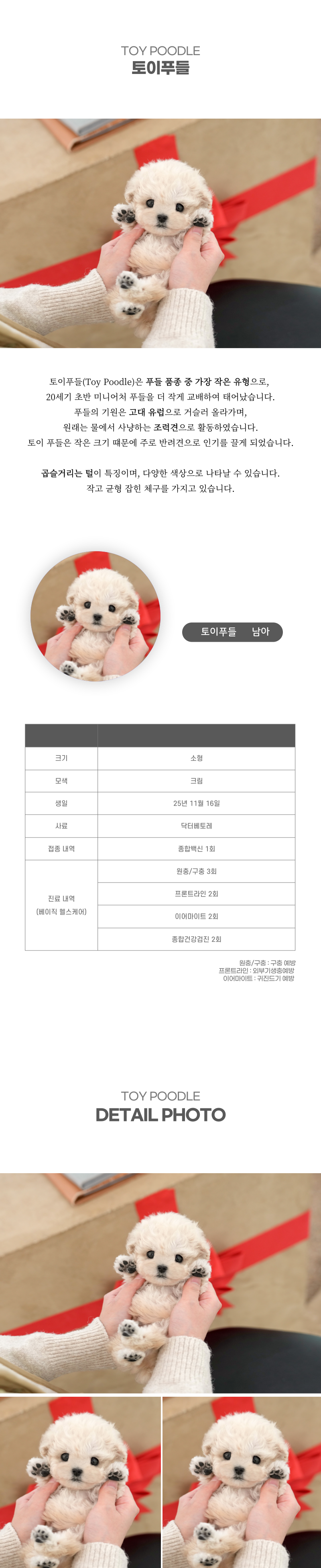 토이푸들_상세이미지_2